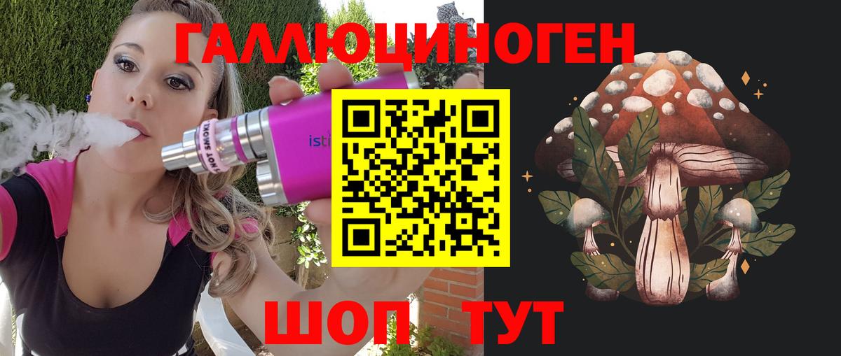 Междуреченск  Галлюциногенные грибы Psilocybine cubensis  Вход с VPN 